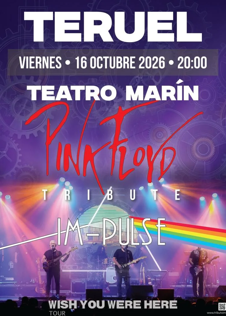 IM-PULSE Pink Floyd Tribute Live Show